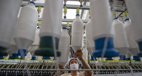 三重困境下的外貿工廠 接單、履約與收款之難，國內貿易轉型路在何方？